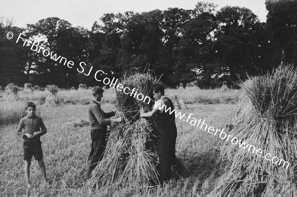 HARVESTING AT ST MARY'S THE HELPERS